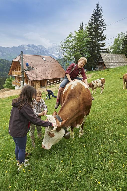 Holiday Chalet "Alpine Dreams" With Private Wellness Solčava Oda fotoğraf