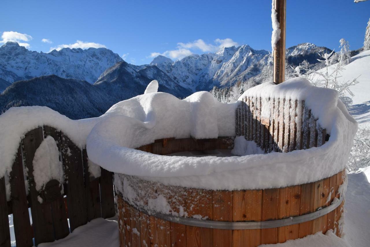 Holiday Chalet "Alpine Dreams" With Private Wellness Solčava Dış mekan fotoğraf